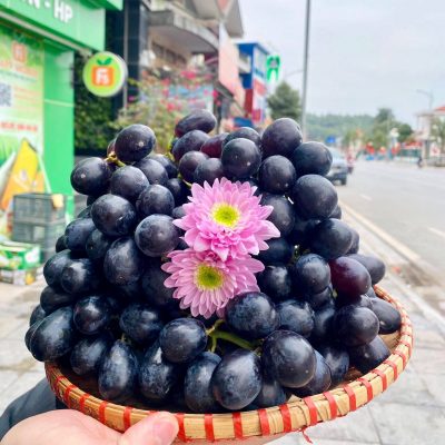 TOP 9 Shop Trái Cây Nhập Khẩu ở quận Lê Chân, Hải Phòng