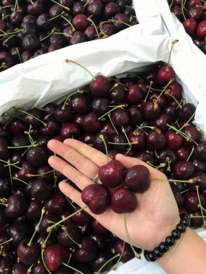 Cửa hàng Leaf Fruit