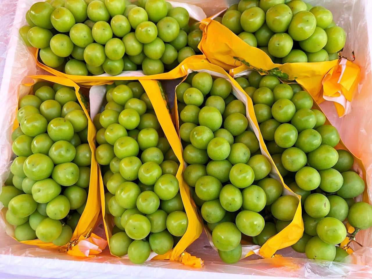 Trái Cây Vũng Tàu Tươi Ngon: Giỏ Quà, Hộp Quà Ý Nghĩa