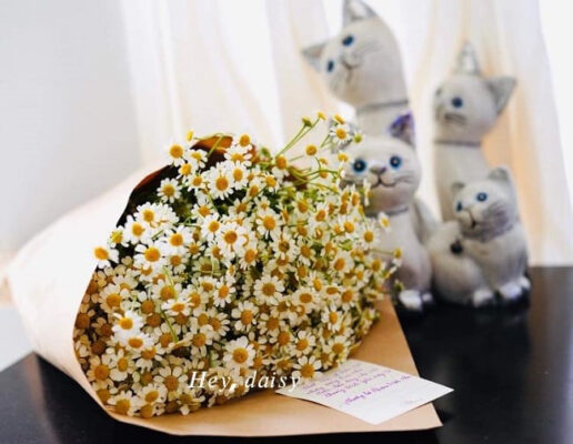 tiệm hoa tươi quận 2 - Hey, daisy