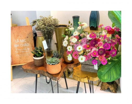 Cửa hàng hoa Hải Dương – Tiệm Hoa Lá Bạc