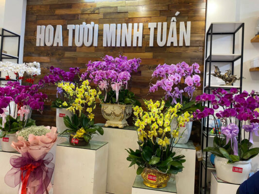 Cửa hàng hoa tươi Bắc Giang - Minh Tuấn Flowershop