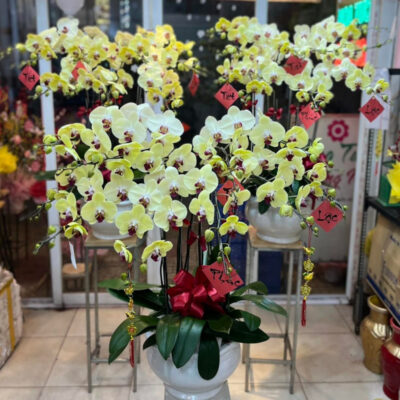 Tiệm hoa tươi quận Tân Bình – SG FlowerShop