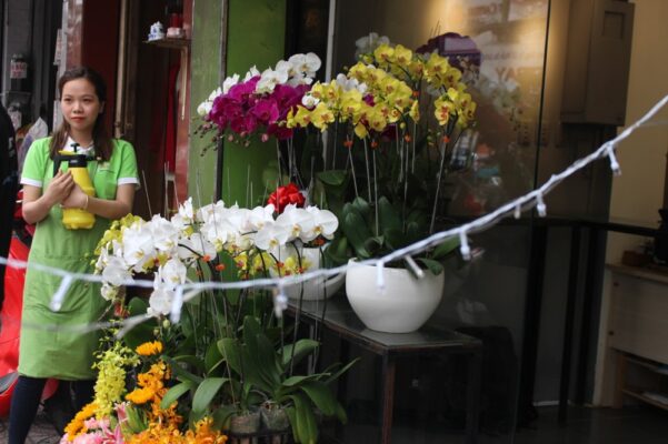 [Top 9] Shop Hoa Tươi ở thị xã Phú Thọ